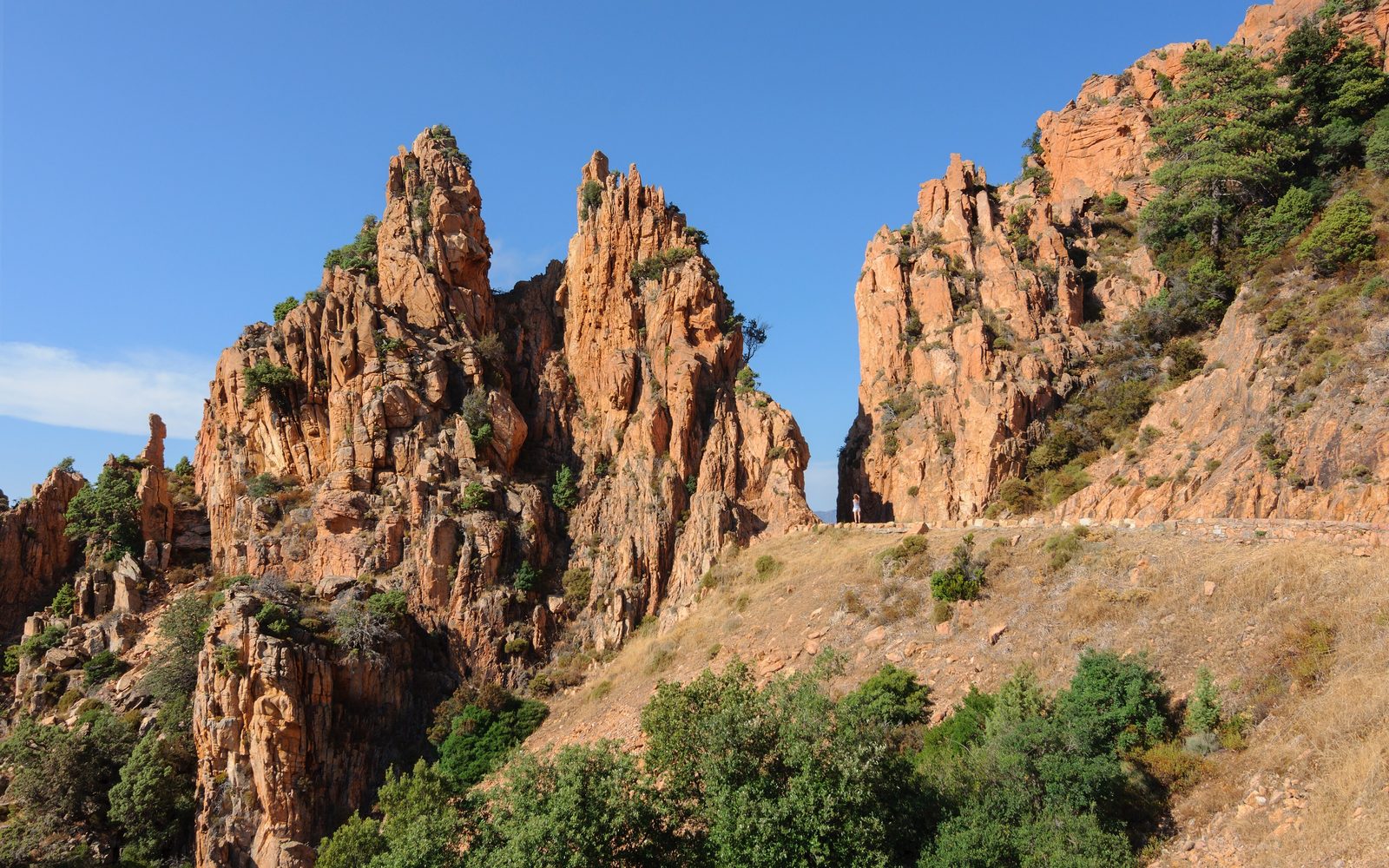 Les aiguilles de granit rouge des calanques de Piana, au-dessus du maquis